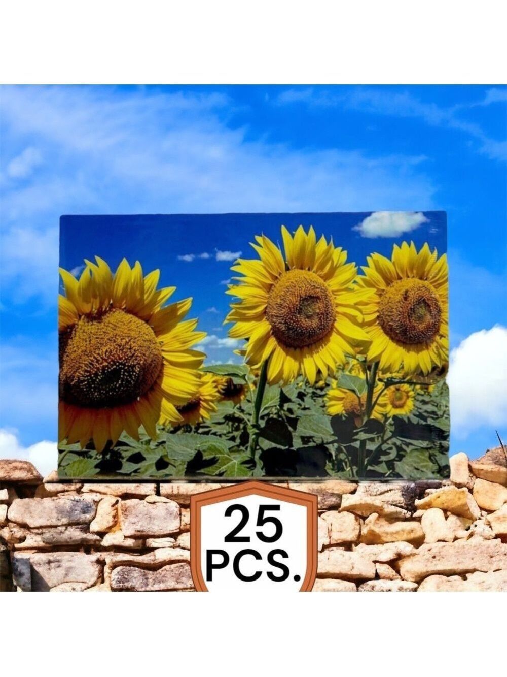 25 10X13 Poly Mailers Sunflower, Shipping Envelopes PRICE IS FIRM Fall - Picture 5 of 12